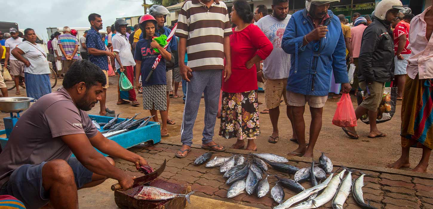 Dodanduwa Fisheries Harbour