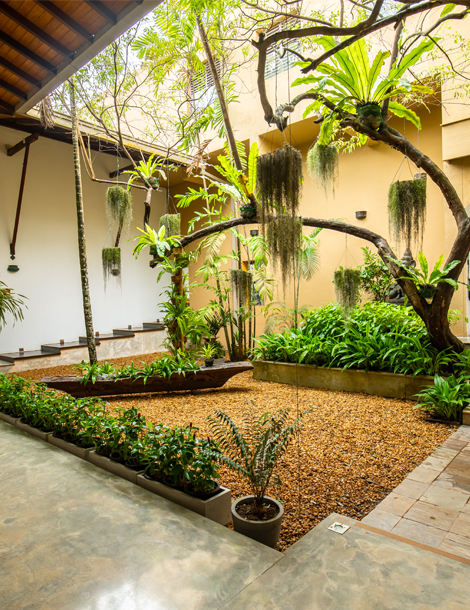 Unwinding In Paradise: Your Guide To Natural Healing At Sri Lanka's Top Ayurveda Retreats