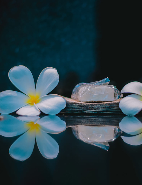A Complete Guide to Wellness Spa Treatments