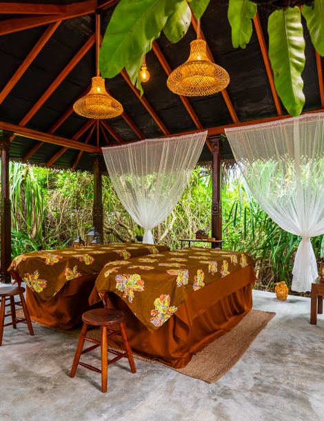 Wellness Retreats in Sri Lanka: A Guide to Oceanfront Healing